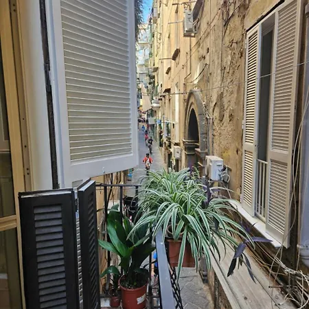 Hébergement de vacances Niloufar *