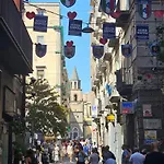 Niloufar Neapol