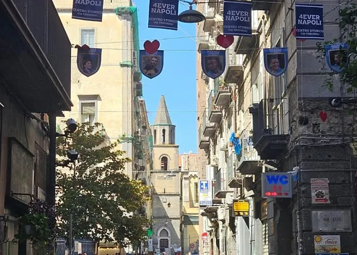 Niloufar Napoli
